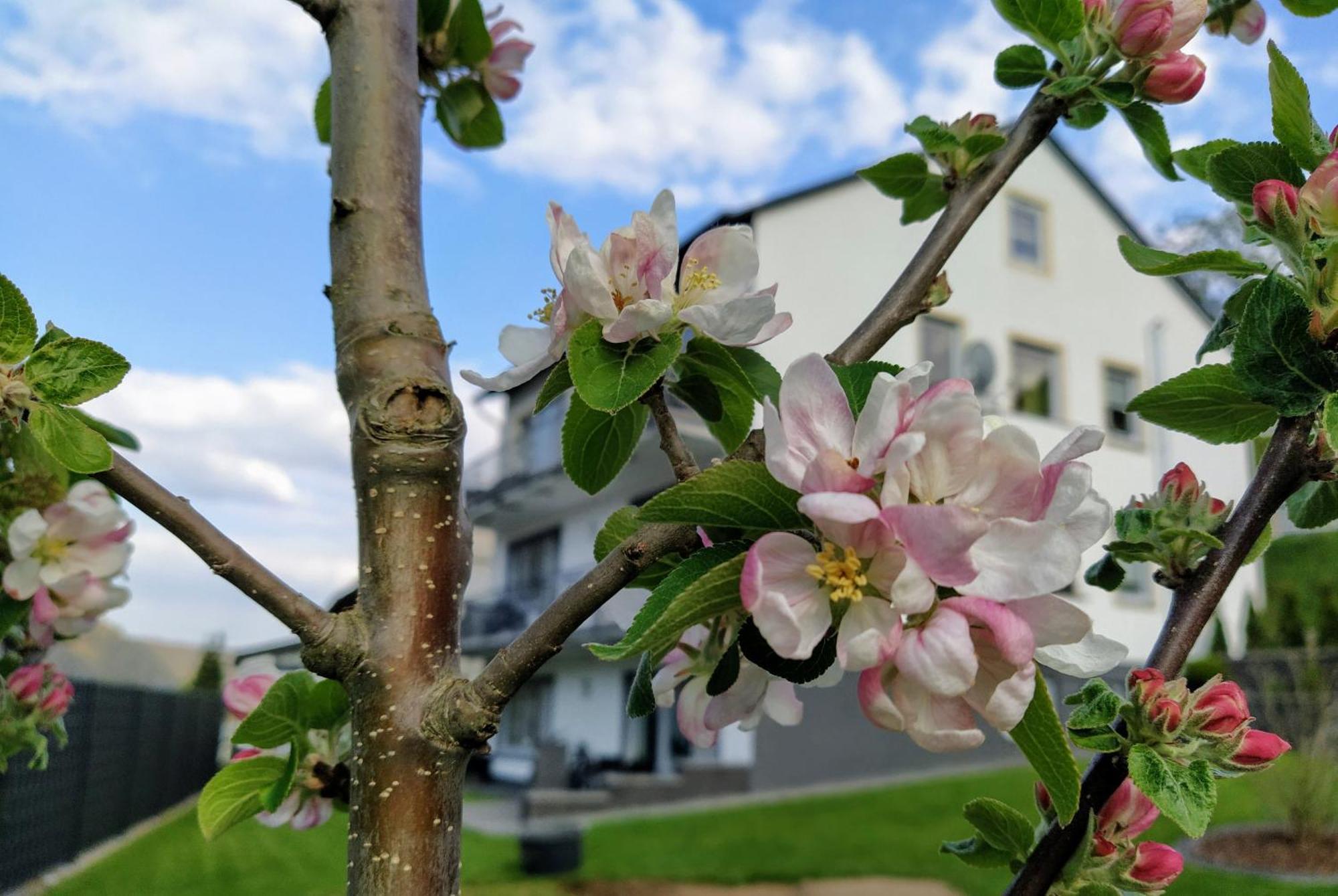 Kleine Auszeit Lejlighed Cochem Eksteriør billede